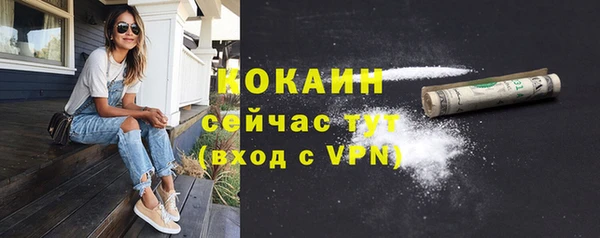 дурь Новодвинск