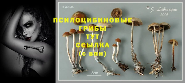 дурь Новодвинск