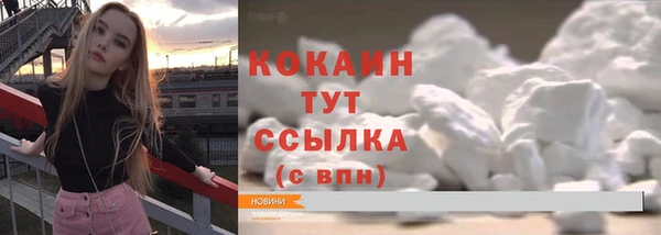 бошки Новозыбков
