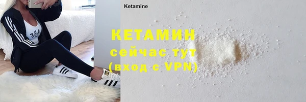 дурь Новодвинск