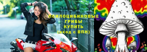 бошки Новозыбков