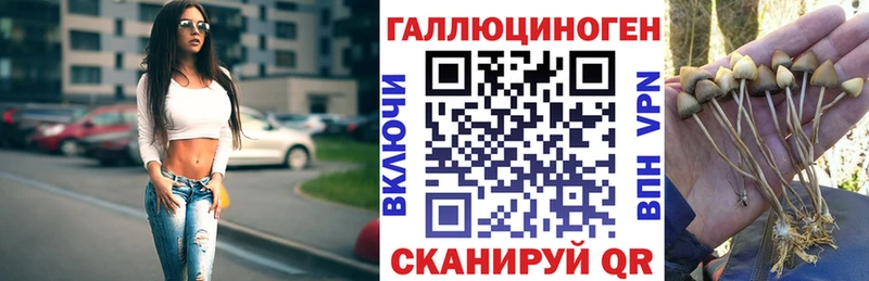 гидра ONION  Орск  Псилоцибиновые грибы мицелий 